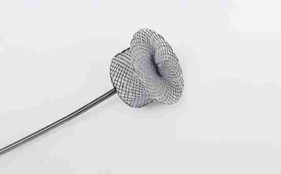 Treatment of Patent Ductus Arteriosus: Exploring the Role of PDA Occluder