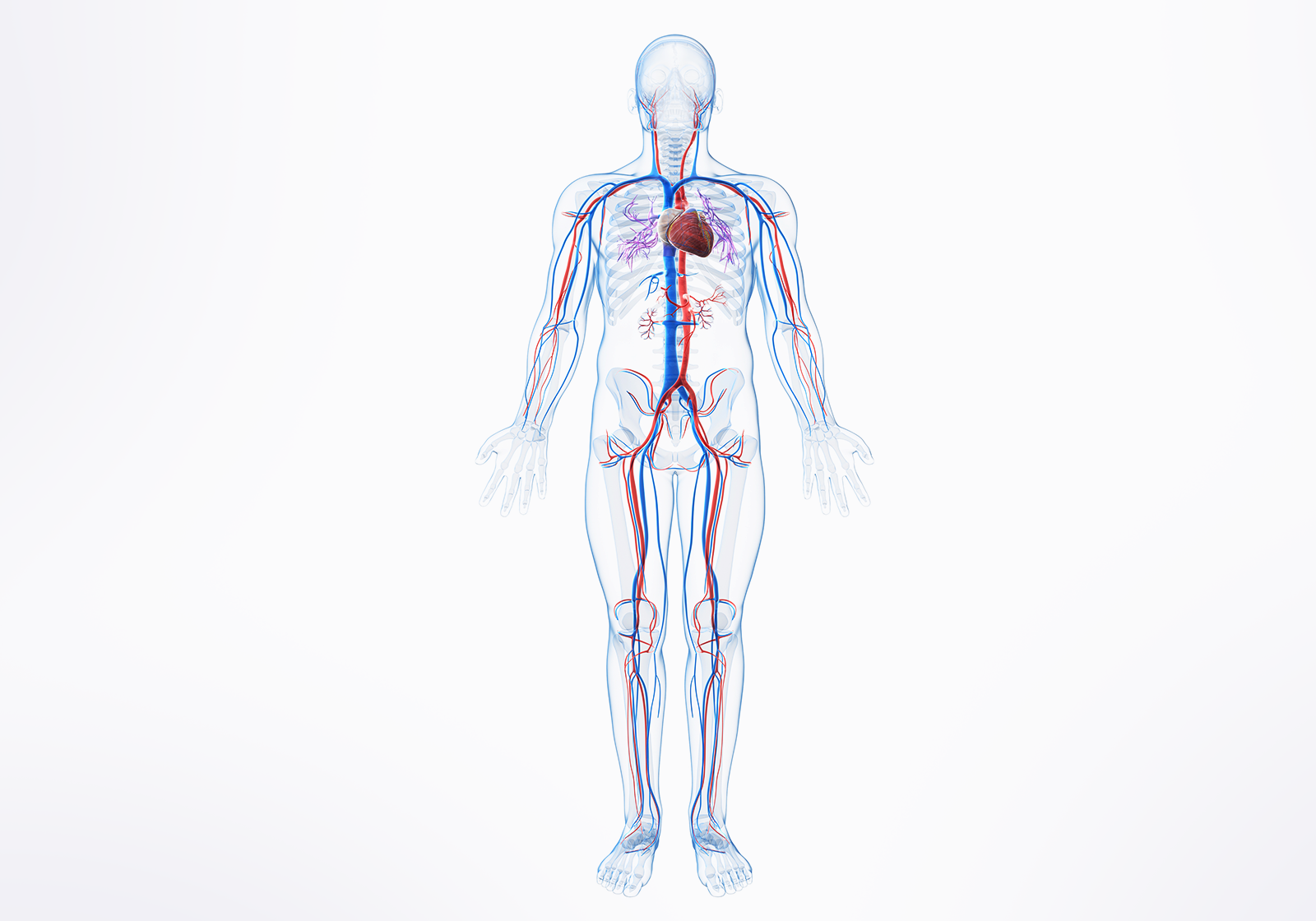 Peripheral Solutions