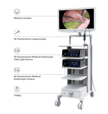 x swipercontainerfade swipercontainerinitialized swipercontainerhorizontal
