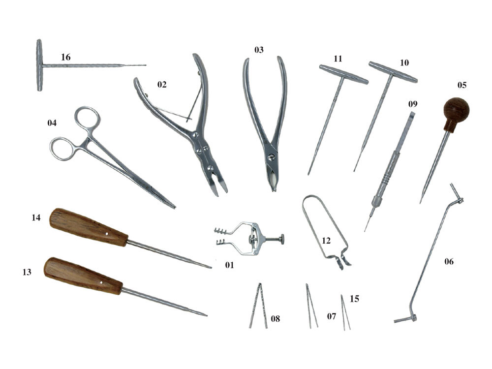 Set instrumen untuk piring Mini