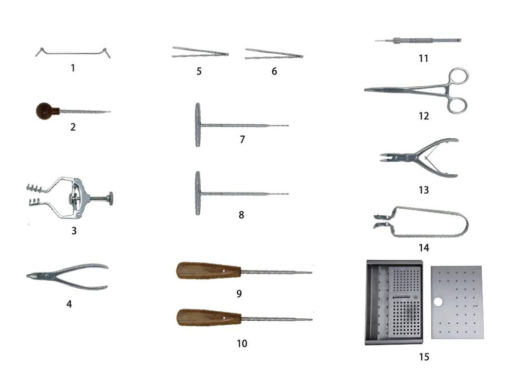 Set instrumen untuk piring Mini